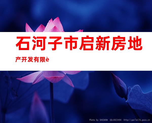 石河子市启新房地产开发有限责任公司